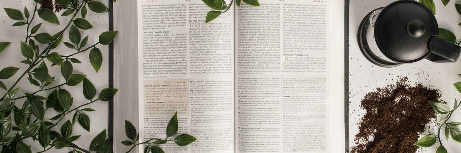 New Testament Stories - Lockman Foundation