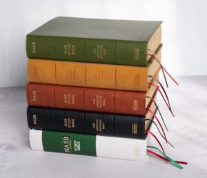 NASB Study Bible
